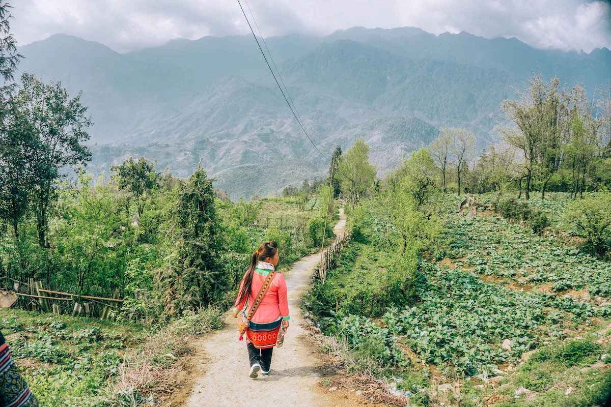 The Ultimate Radreise Sapa: A Definitive Guide to Pedaling the Roof of Indochina